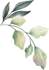top-right-leaf